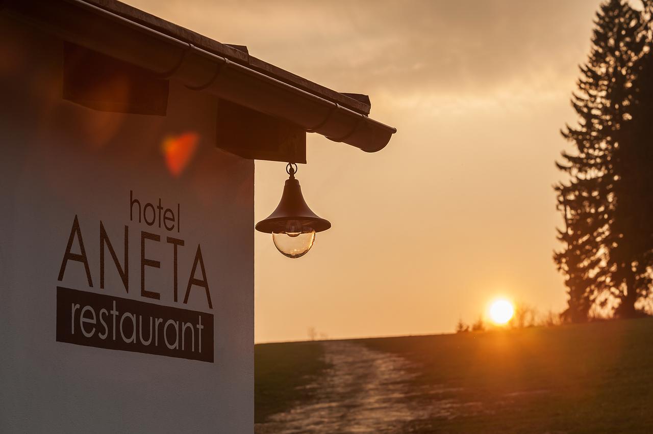 Aneta Hotel & Restaurant Vítkovice Exterior foto